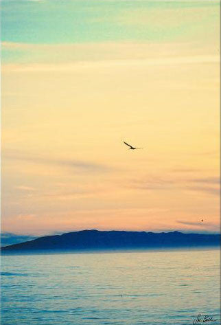 Tam Susan Bell Canvas Giclée Print Artist Hand Signed and Numbered