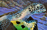 The Turtle and the Butterfly Robert Lyn Nelson Mixed Media Print Artist Hand Signed and Numbereded