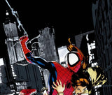 Ultimatum Spider Man Requiem 1 Marvel Comics Artist Stuart Immonen Canvas Giclée Print Numbered