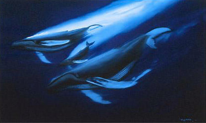 Seas Alive Wyland Artist Proof Lithograph Print Hand Signed and AP Numbered