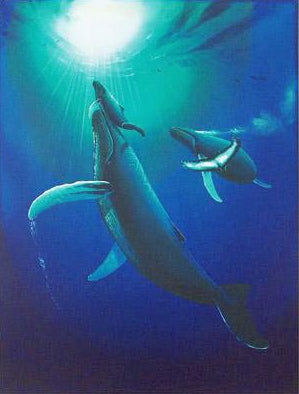 Ocean Born Wyland Serigraph Print Artist Hand Signed and Numbered