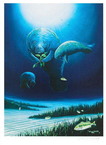 Manatee Visit Wyland Lithograph Print Artist Hand Signed and Numbered