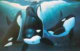 Keikos Dream Wyland and Jim Warren Lithograph Print Wyland Hand Signed and Numbered