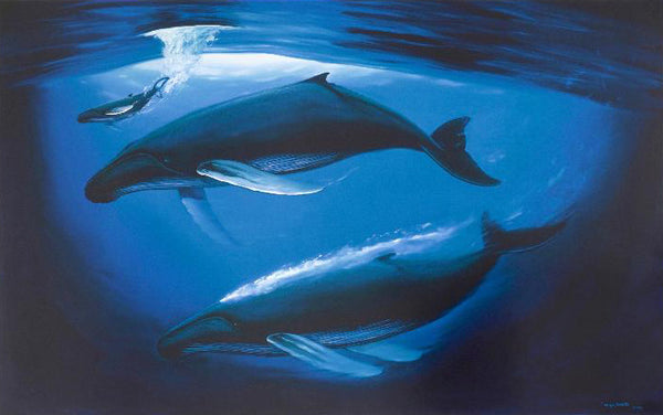 A Sea of Life Wyland Lithograph Print Artist Hand Signed and Numbered