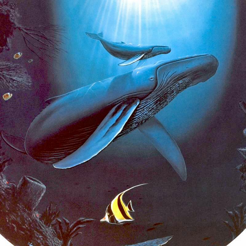 Innocent Age Dolphin Serenity Wyland Lithograph Print Artist Hand Signed and Numbered