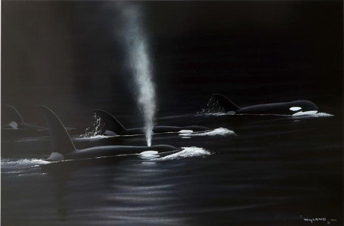 Ancient Orca Seas Wyland Lithograph Print Artist Hand Signed and Numbered