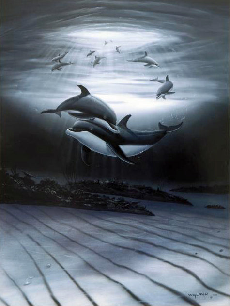 Dolphin Affection Wyland Lithograph Print Artist Hand Signed and Numbered