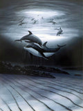 Dolphin Affection Wyland Lithograph Print Artist Hand Signed and Numbered