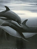 Dolphin Affection Wyland Lithograph Print Artist Hand Signed and Numbered