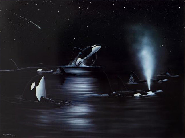 Orcas Starry Night Wyland Lithograph Print Artist Hand Signed and Numbered