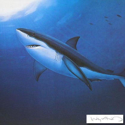 Great White Wyland Lithograph Print Artist Hand Signed and Numbered