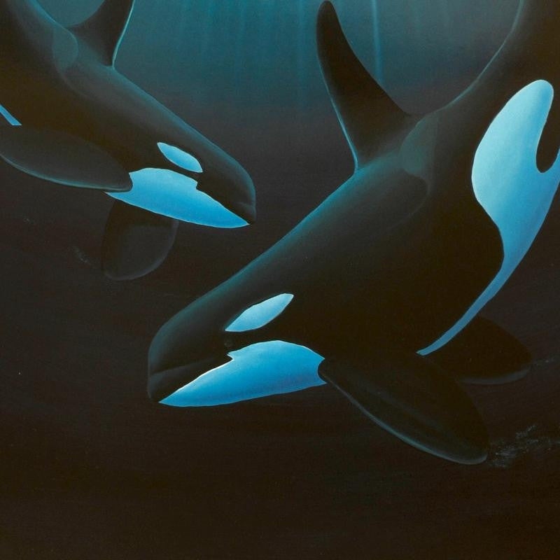 Ancient Orca Dance Wyland Lithograph Print Artist Hand Signed and Numbered