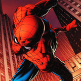 Amazing Spider Man 641 Marvel Comics Artist Joe Quesada Artist Proof Canvas Giclée Print Stan Lee Hand Signed and AP Numbered