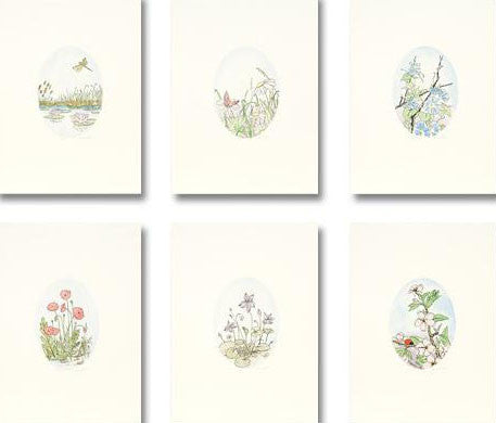 Untitled Flower Etchings Set Anna Weber Artist Hand Signed and Numbered